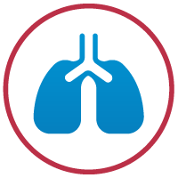 Gallery image 2 — post water damage testing near me