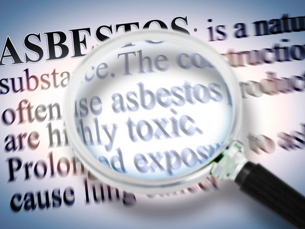 Gallery image 4 — black mold testing Asbestos Testing Inspector