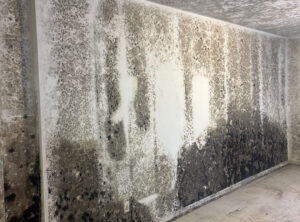 Gallery image 2 — 24/7 water damage response Atlanta