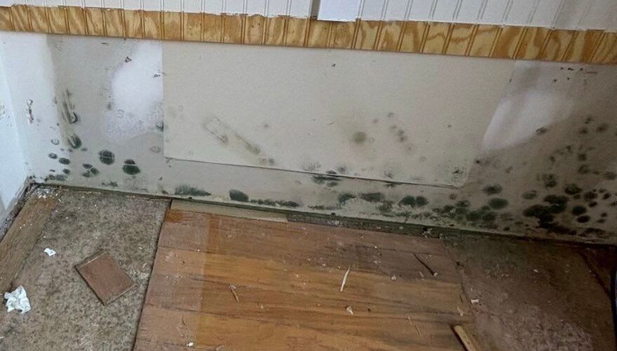 Gallery image 11 — crawl space waterproofing Atlanta
