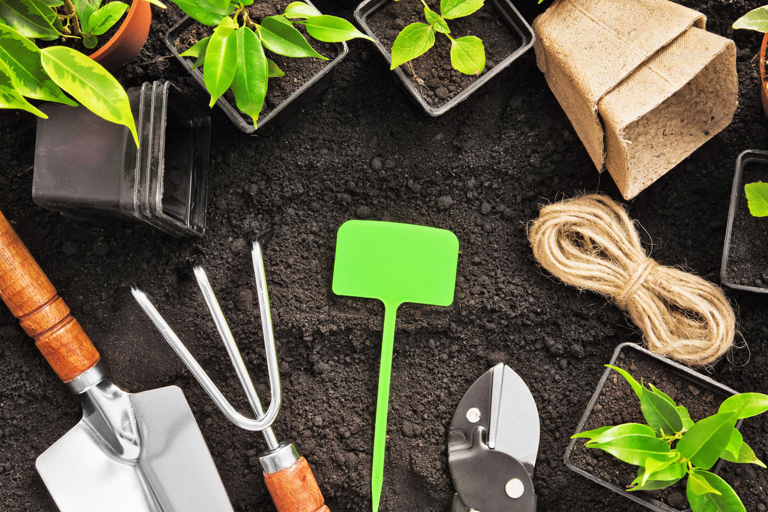 Gallery image 7 — weed control services Tampa