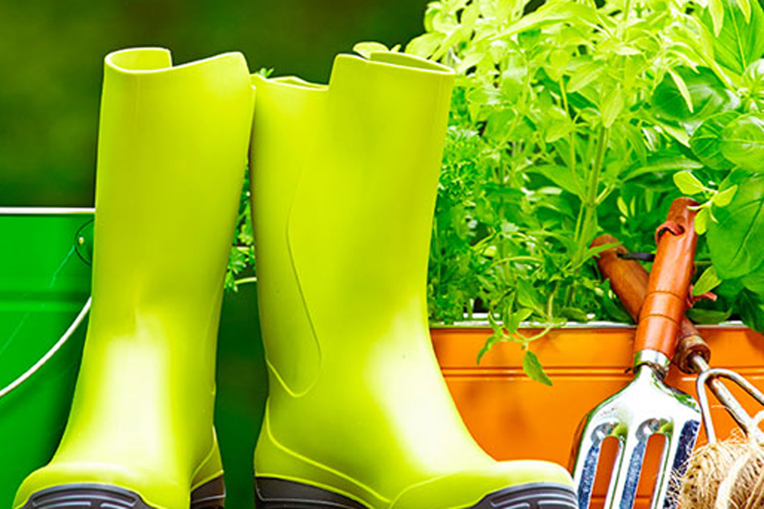 Gallery image 10 — weed control services Tampa