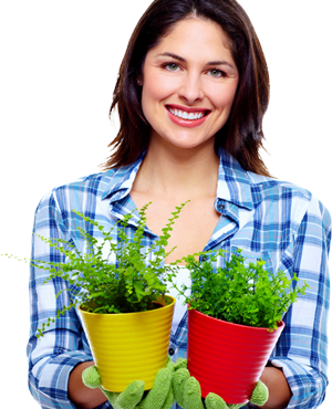 Gallery image 3 — weed control services Tampa