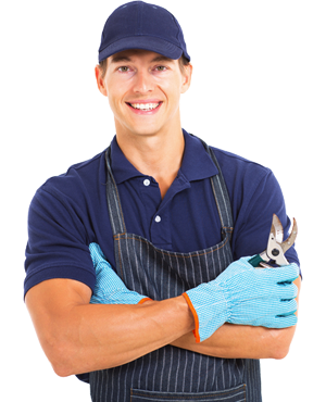 Gallery image 2 — weed control services Tampa