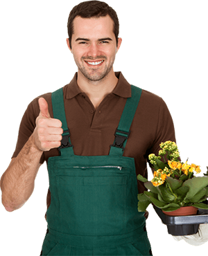 About weed control services Tampa