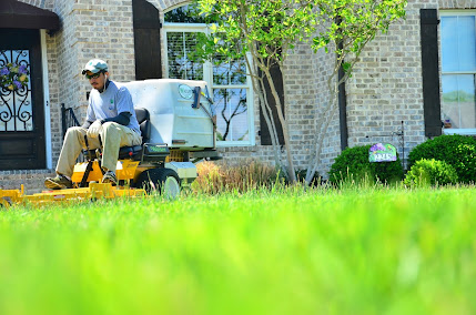 Gallery image 9 — weed control services Tampa