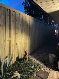Gallery image 1 — automatic gate installation near me