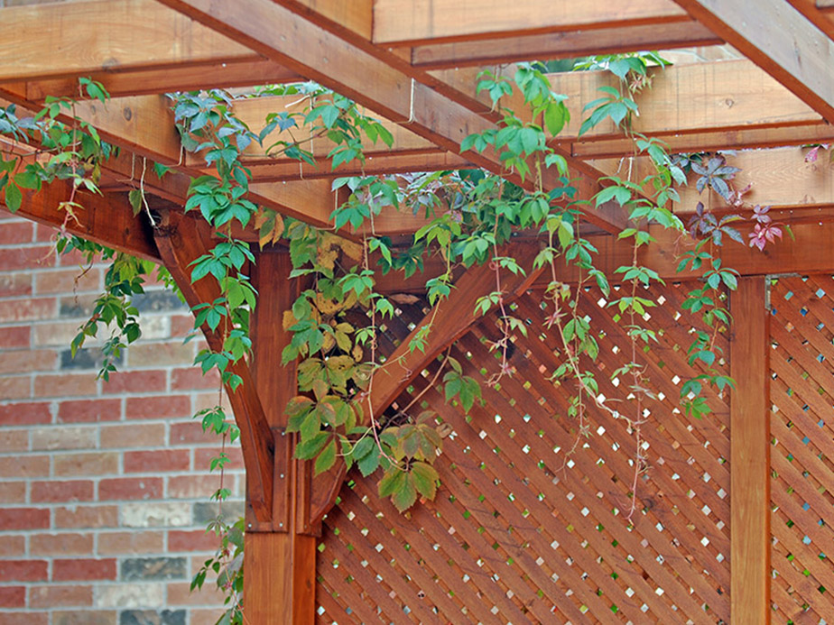 Gallery image 3 — deck and pergola builder Richardson