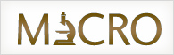 About commercial mold remediation Atlanta