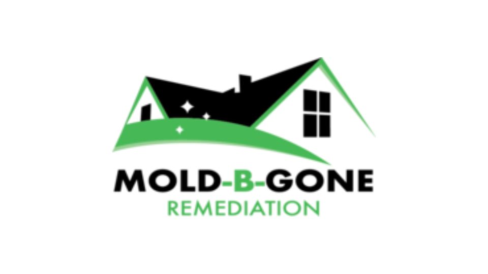 commercial mold remediation Atlanta