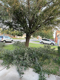 Gallery image 3 — same-day dumpster delivery Travis County