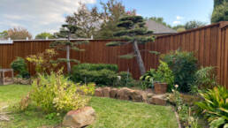 fence staining services near me