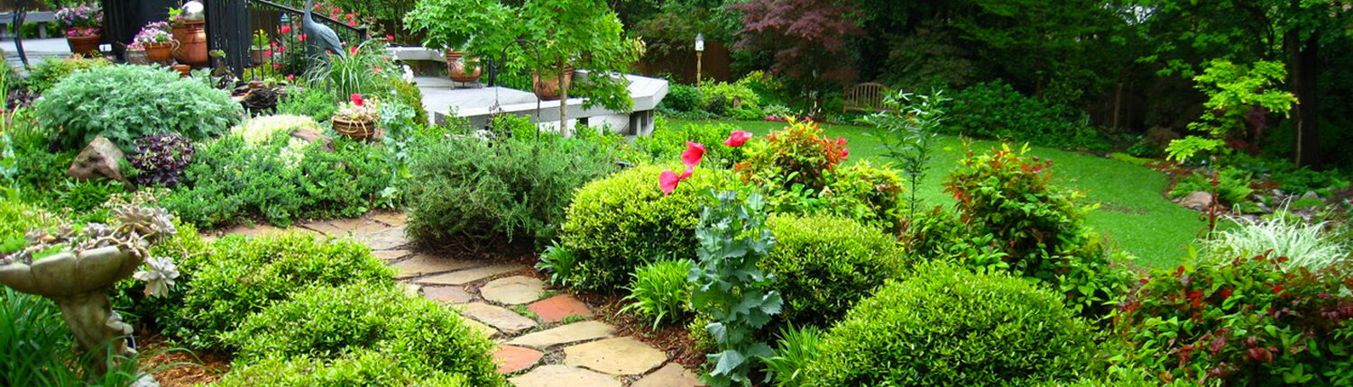 Gallery image 12 — lawn maintenance Orlando