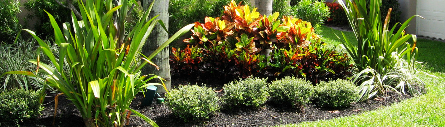 Gallery image 7 — lawn maintenance Orlando