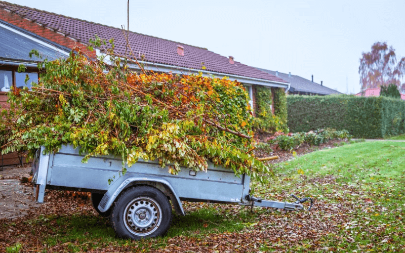 Gallery image 15 — HOA landscape maintenance Windermere
