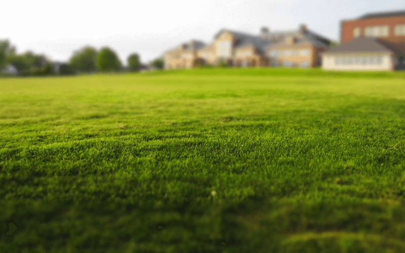HOA landscape maintenance Windermere