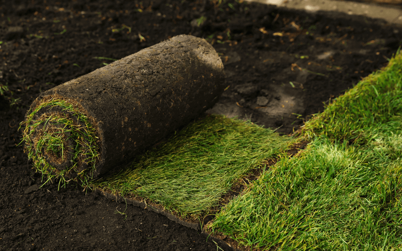 Gallery image 8 — HOA landscape maintenance Windermere