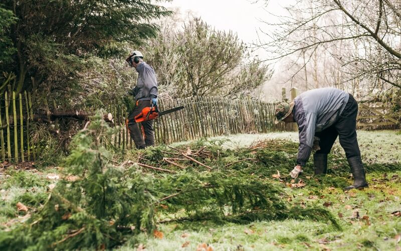 About HOA landscape maintenance Windermere