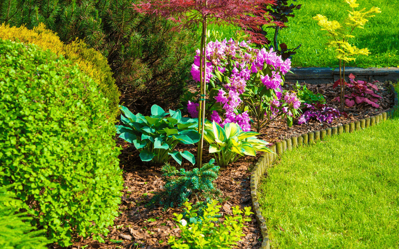 Gallery image 2 — HOA landscape maintenance Windermere