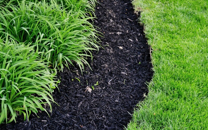 Gallery image 14 — HOA landscape maintenance Windermere