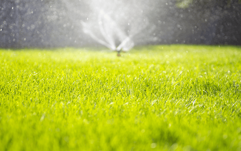 Gallery image 9 — HOA landscape maintenance Windermere