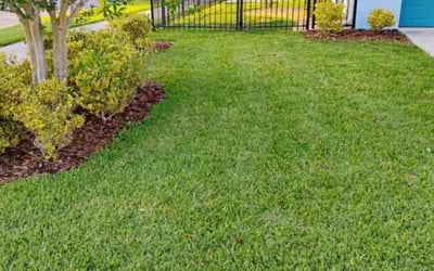 Gallery image 1 — complete outdoor property maintenance FL