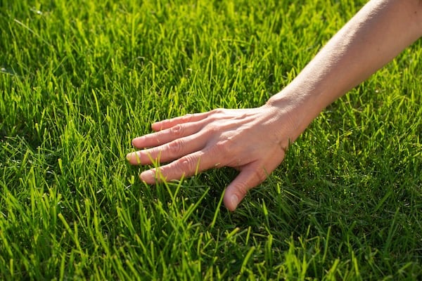 Gallery image 5 — complete outdoor property maintenance FL