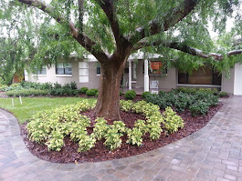 Gallery image 6 — irrigation repair MetroWest