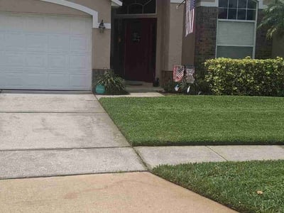 Gallery image 6 — yard clean up Altamonte Springs