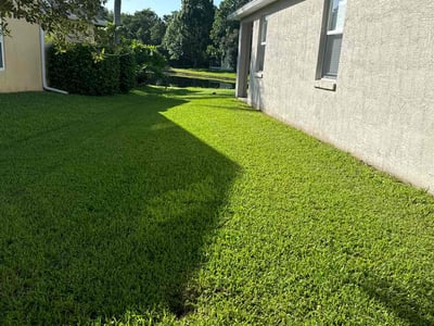 Gallery image 3 — yard clean up Altamonte Springs