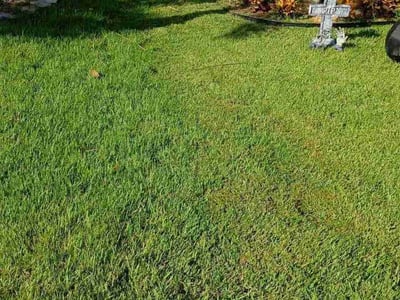 Gallery image 1 — yard clean up Altamonte Springs