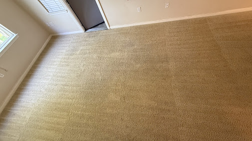 steam carpet cleaning near me