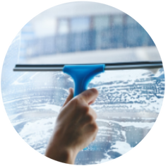 Gallery image 6 — steam carpet cleaning near me
