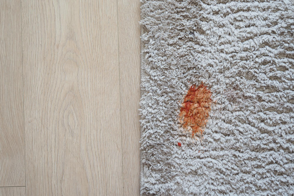 Gallery image 5 — affordable carpet cleaning Santa Clara