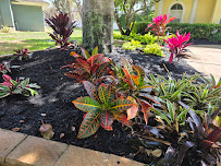 Gallery image 6 — planters and hardscape Central Florida