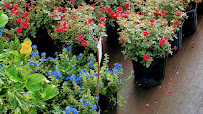 Gallery image 5 — planters and hardscape Central Florida