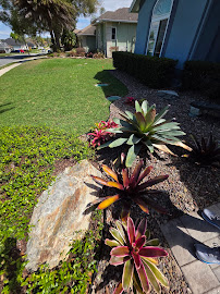 Gallery image 1 — planters and hardscape Central Florida