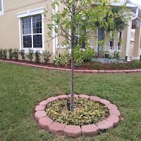 Gallery image 13 — planters and hardscape Central Florida