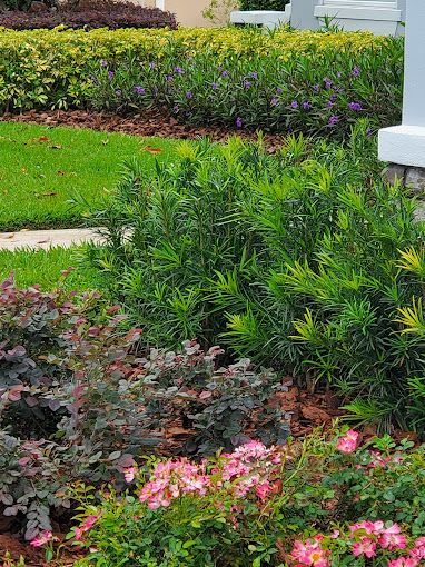 Gallery image 9 — planters and hardscape Central Florida