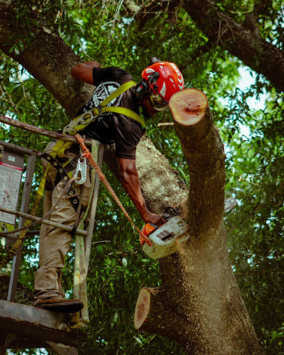 Gallery image 4 — commercial tree services %AREA%