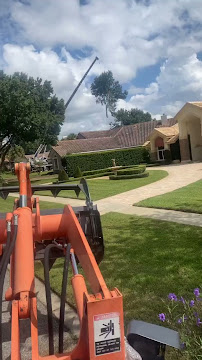 Gallery image 2 — commercial tree services %AREA%