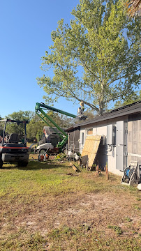 About commercial tree services %AREA%