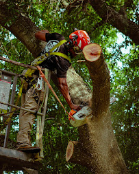 Gallery image 5 — commercial tree services %AREA%