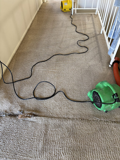 Gallery image 4 — carpet cleaner near me