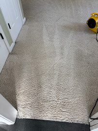About carpet cleaner near me