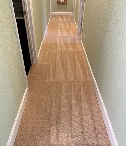 affordable carpet cleaning Bay Area