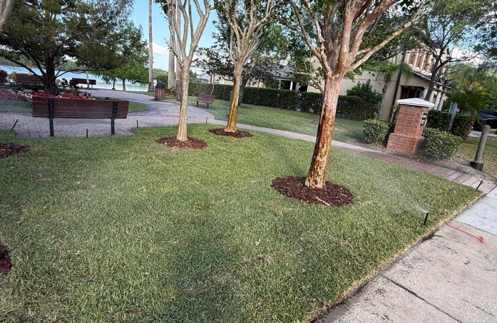 Gallery image 5 — drainage solutions Winter Park