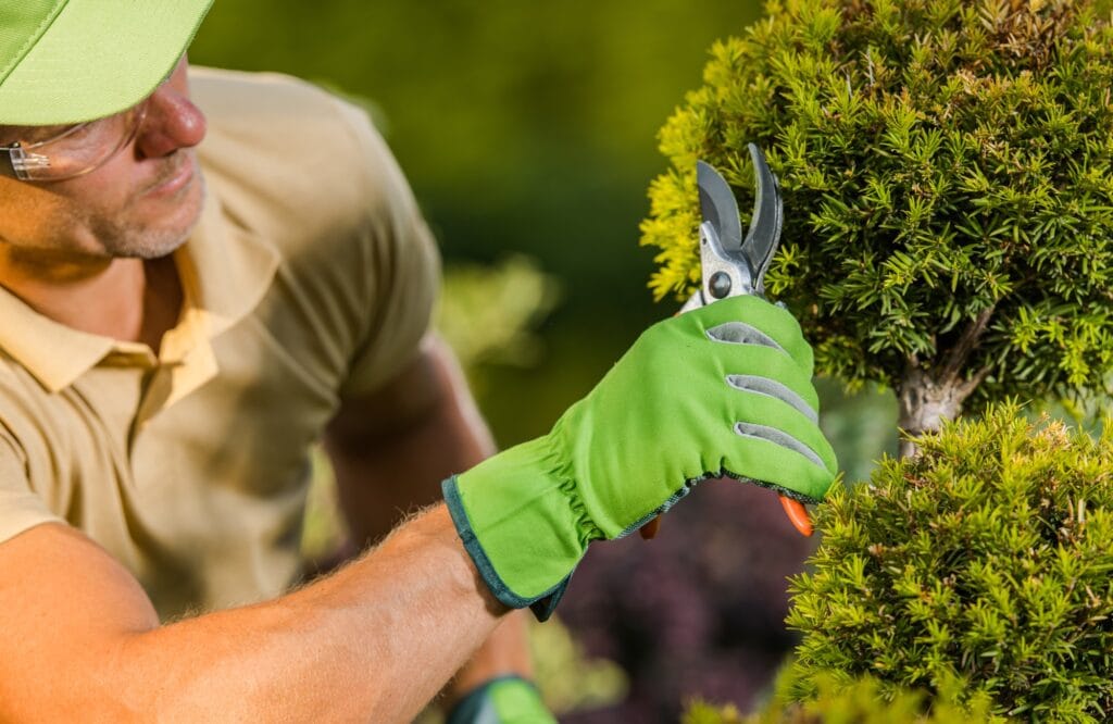 drainage solutions Winter Park