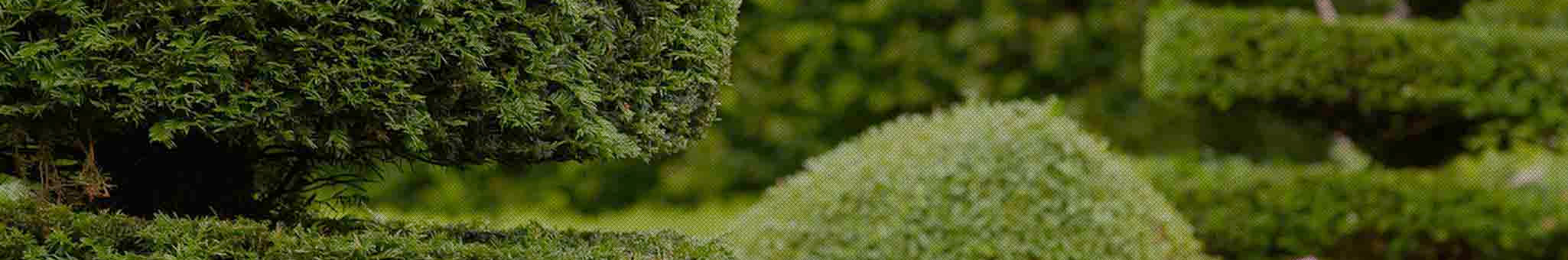mulch and plant installation Central Florida