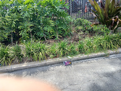 Gallery image 4 — irrigation management Orlando